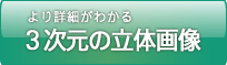 より詳細がわかる、３次元の立体画像